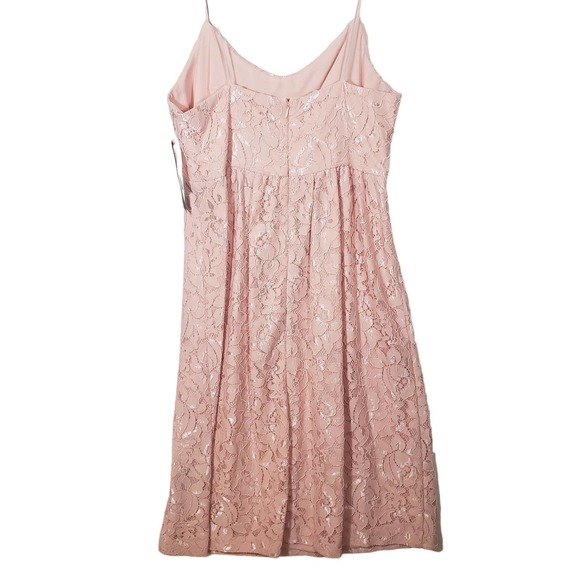 Cynthia Steffe Dress 12 Lace Rose Pink Sleeveless Party Cocktail Fit Flare NWT - Picture 9 of 9